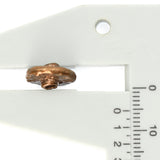 (bzbd002-9315) Bronze 12mm Flat Spacer Bead