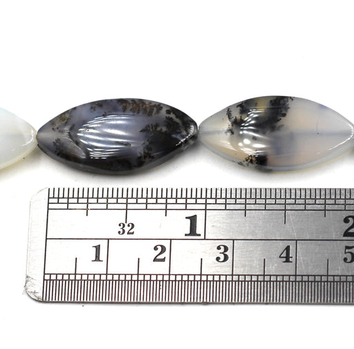 Flat Oval Dendritic Agate