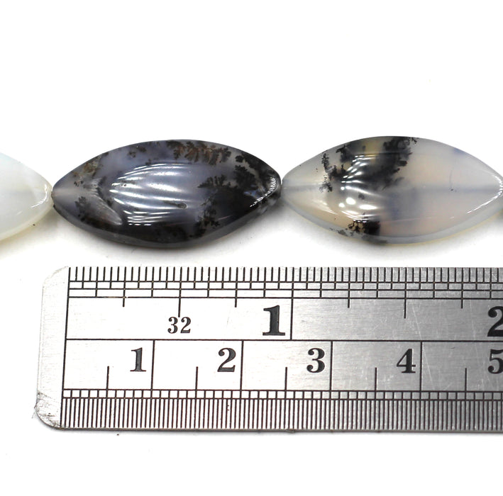 Flat Oval Dendritic Agate