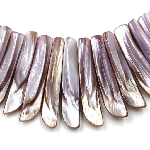 Graduated Pink Mussel Shell Tips