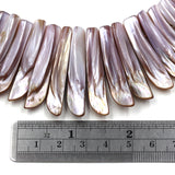 Graduated Pink Mussel Shell Tips