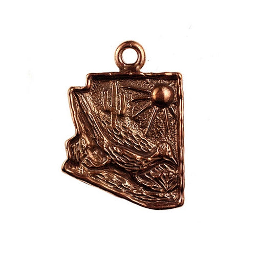 State of Arizona w/Roadrunner