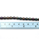 (fwp100) 6x5mm Freshwater Pearls