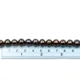 (fwp101) Dark 10mm Freshwater Pearls