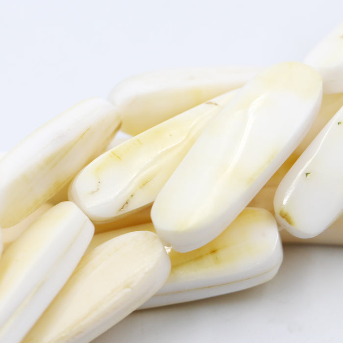 (shell001) Melon Shell Beads