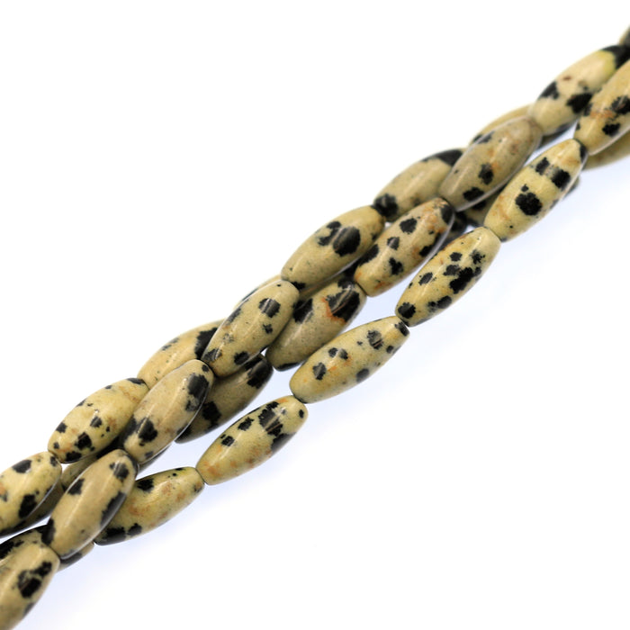 (dalmatian001) Dalmatian Jasper