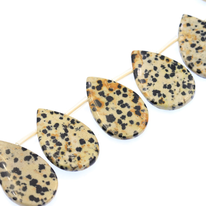 (jas075) 19x29mm Dalmatian Jasper Teardrops