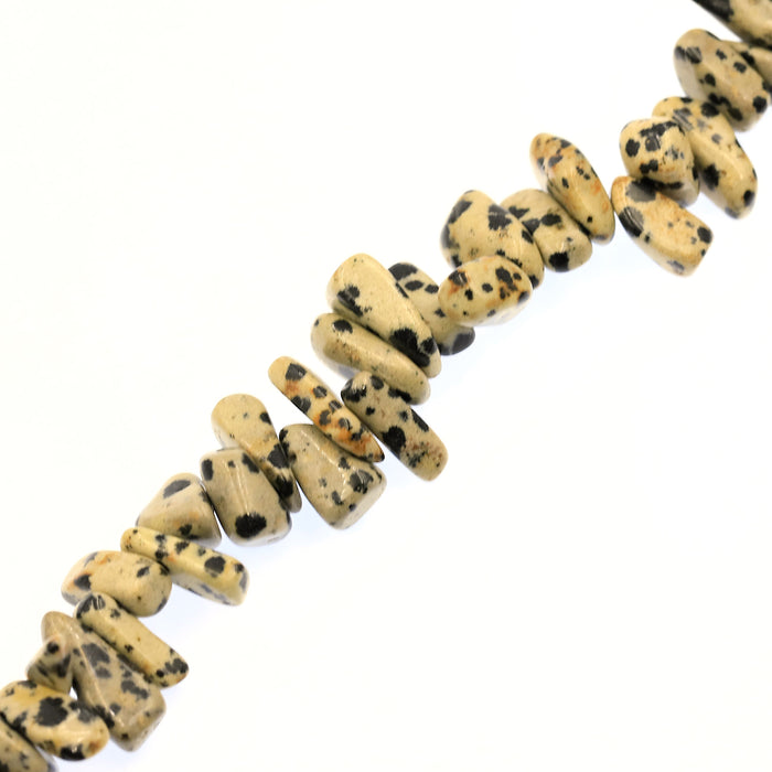 (jas073)  Assorted Sizes of Dalmatian Jasper Nuggets