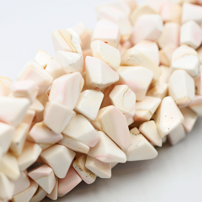 (CON-016) 15x10mm Conch Shell