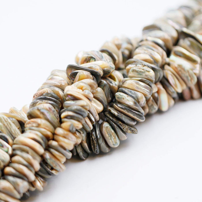 (abalone009) Abalone Flats - Scottsdale Bead Supply