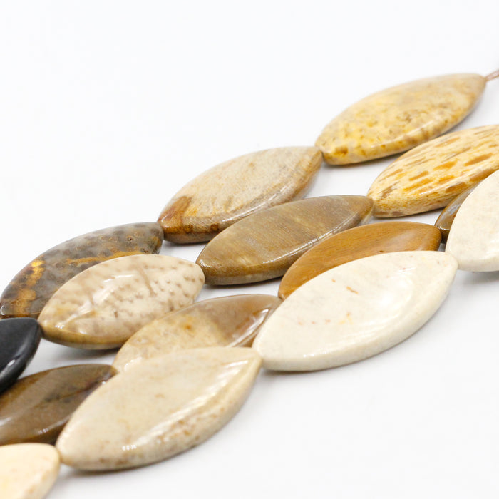 A variety of irregularly shaped petrified palm wood beads in beige, brown, and white colors.