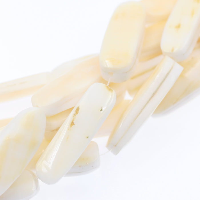 (shell001) Melon Shell Beads