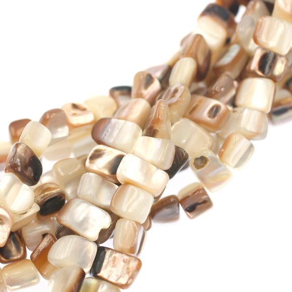 (mop025) Brown Lipped Mother of Pearl Beads