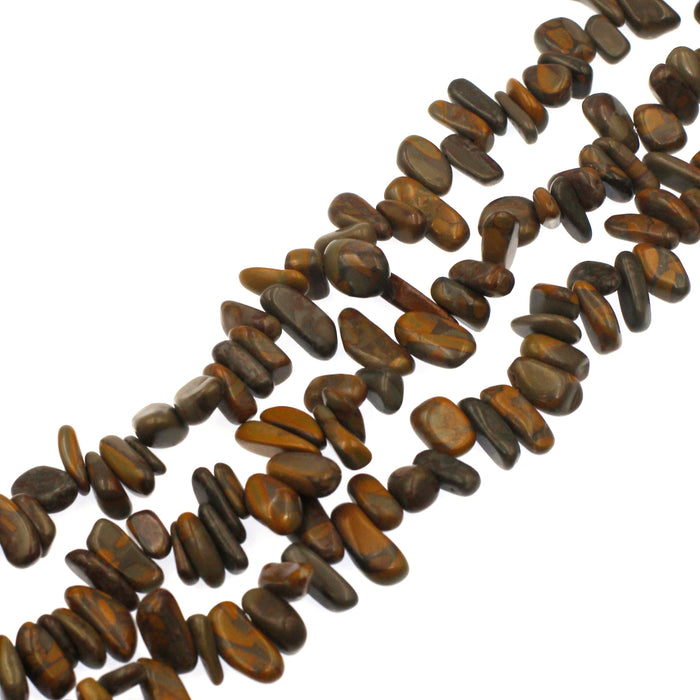 (chocjasp001) Chocolate Jasper Assorted Sizes