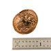 Solid Bronze Coin Button By Old World Bronze