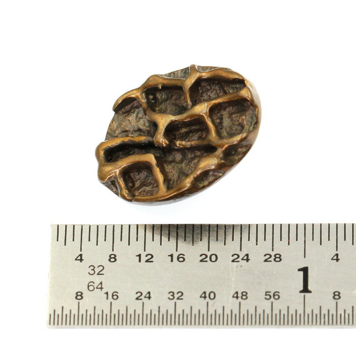 (bzbn029-N0447) Bronze Textured Oval Button Clasp.