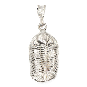 (SPN002) Sterling Silver Trilobite Pendant