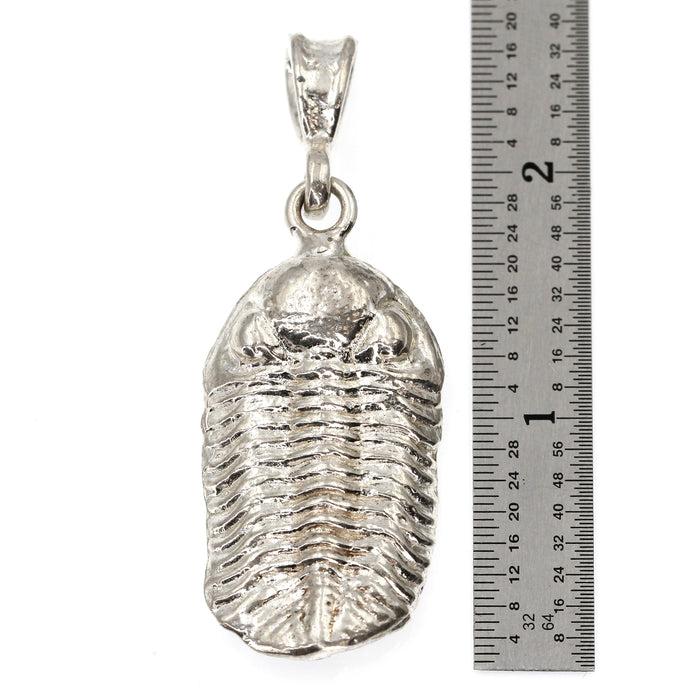 (SPN002) Sterling Silver Trilobite Pendant