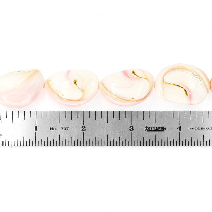 (CON-002) 31x23mm Pink Conch Shell