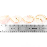 (conchshell002) 31x23mm Pink Conch Shell