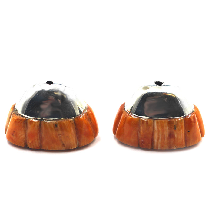 (IC012) Spiny Oyster Cones