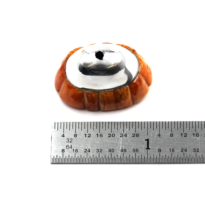 (IC012) Spiny Oyster Cones