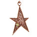 Solid Bronze SC 5pt Lg star w/colored stone