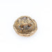 Old World Bronze Button