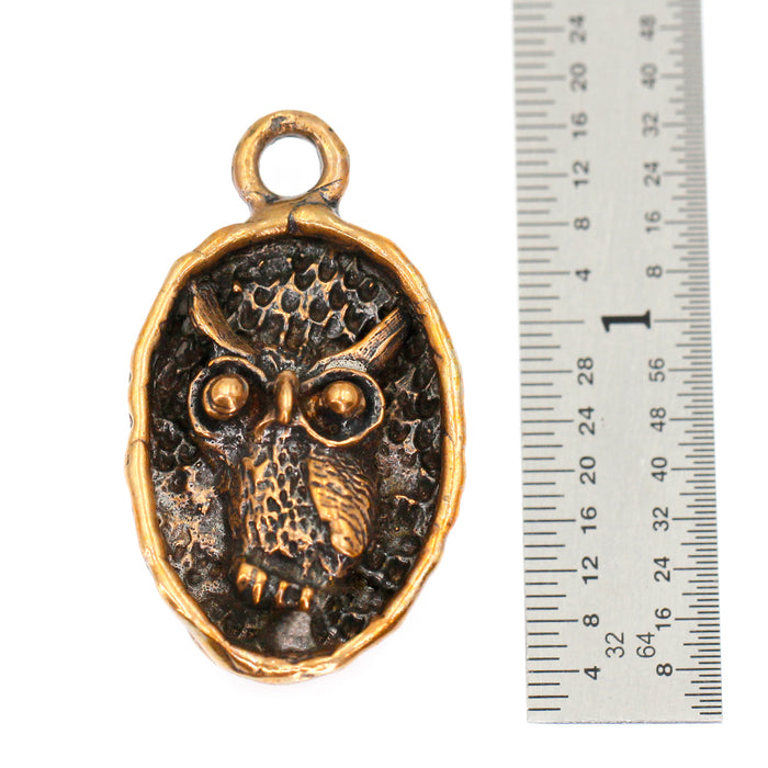 (bzp137-9326) Bronze Owl in a circular frame pendant