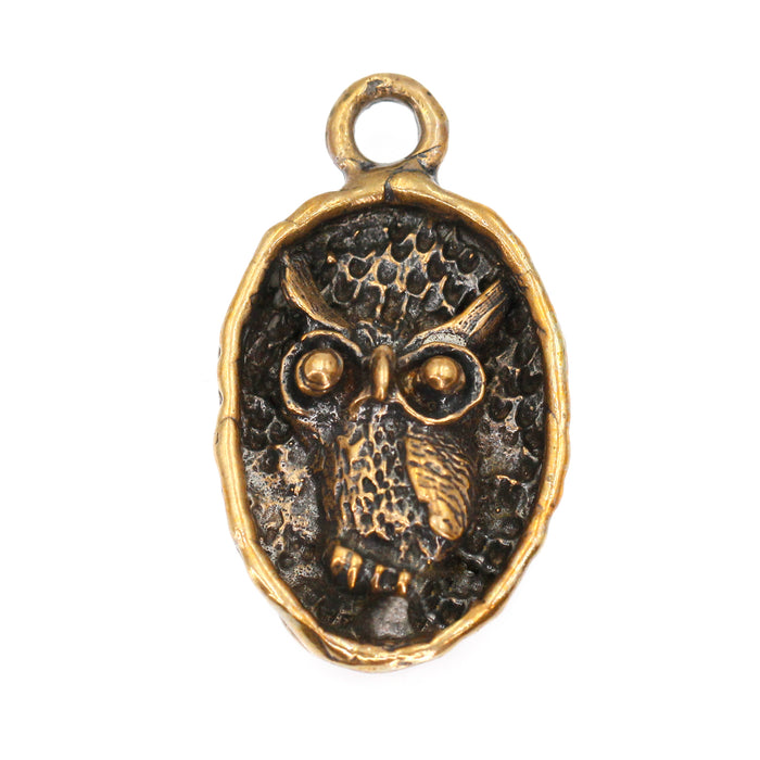 (bzp137-9326) Bronze Owl in a circular frame pendant