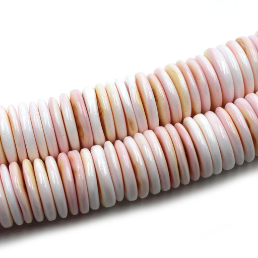 20mm Conch Shell Rondelles