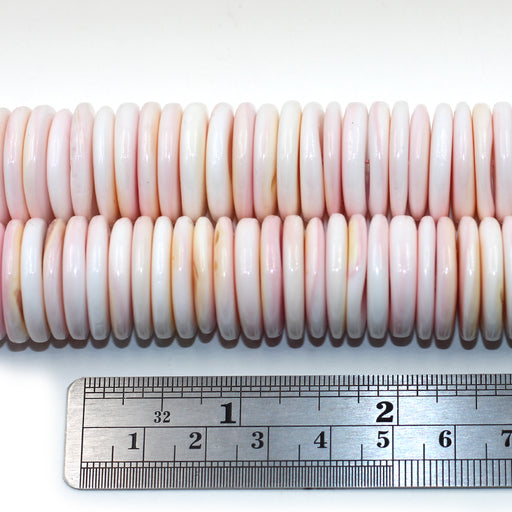 20mm Conch Shell Rondelles