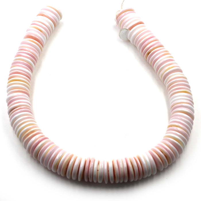 20mm Conch Shell Rondelles