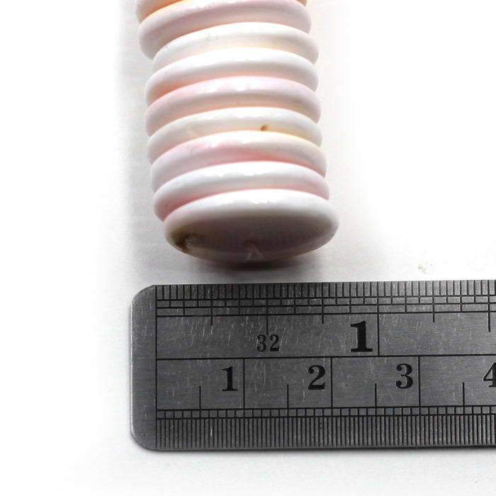 20mm Conch Shell Rondelles