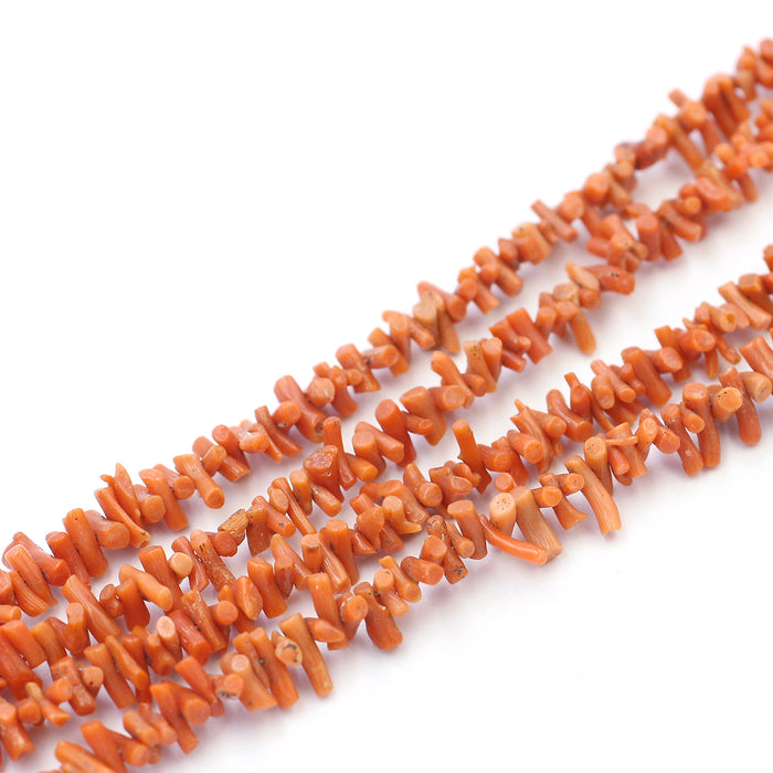 (cor002) 46" Coral Strand