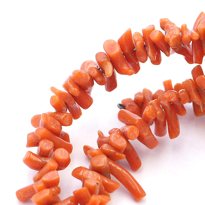 (cor003) 14" Coral Bead Strand