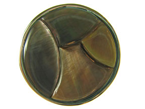 5-Strand Paua Shell Box Clasp