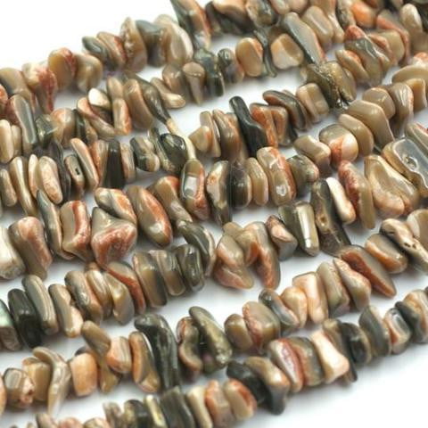 (abalone006) Abalone red back chips - Scottsdale Bead Supply