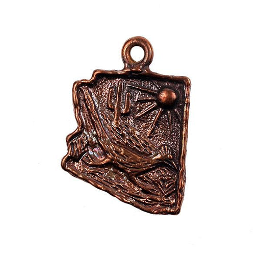 Bronze Arizona with Road Runner Charm