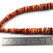 Graduated Orange Spiny Rondelles