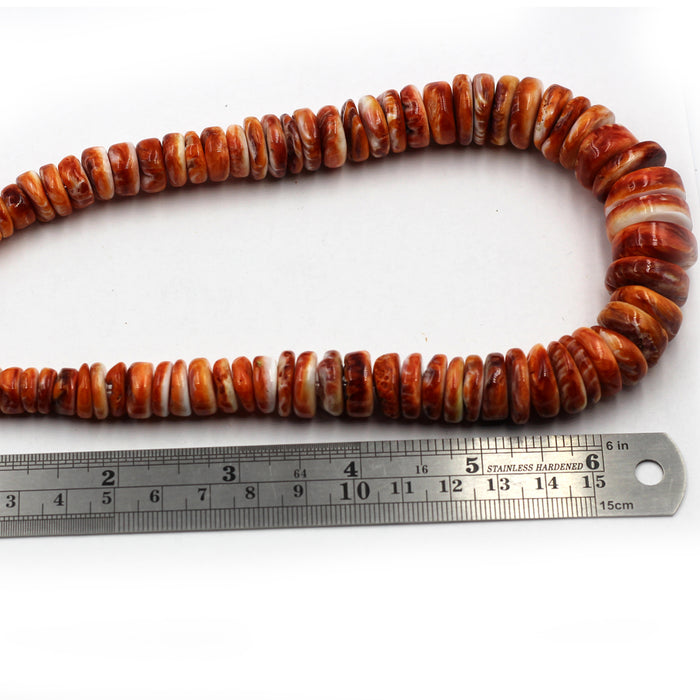 Graduated Orange Spiny Rondelles